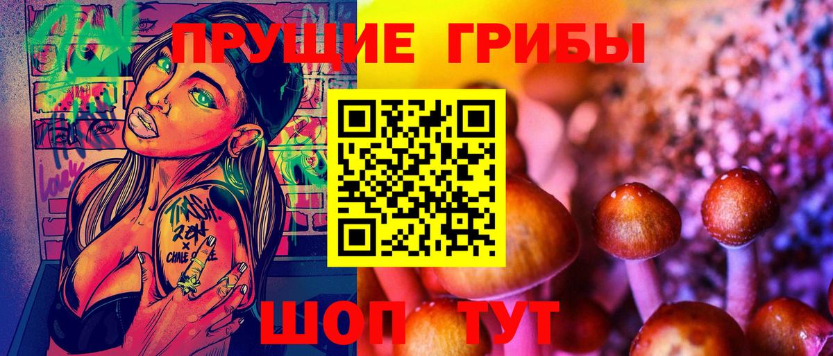 Псилоцибиновые грибы Psilocybe  Вход с VPN  Псилоцибиновые грибы прущие грибы  Лесосибирск 